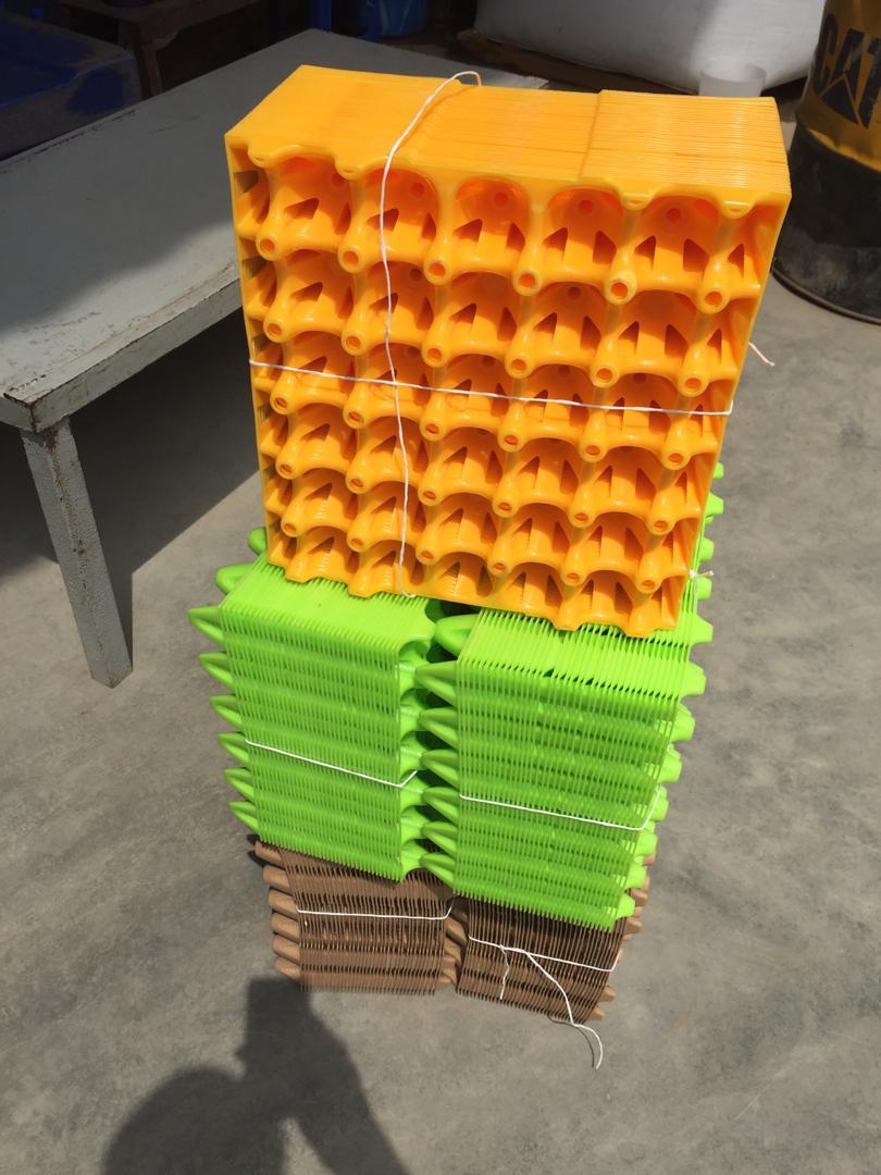 Plastic Egg Crate - Bundle of 24 Pieces