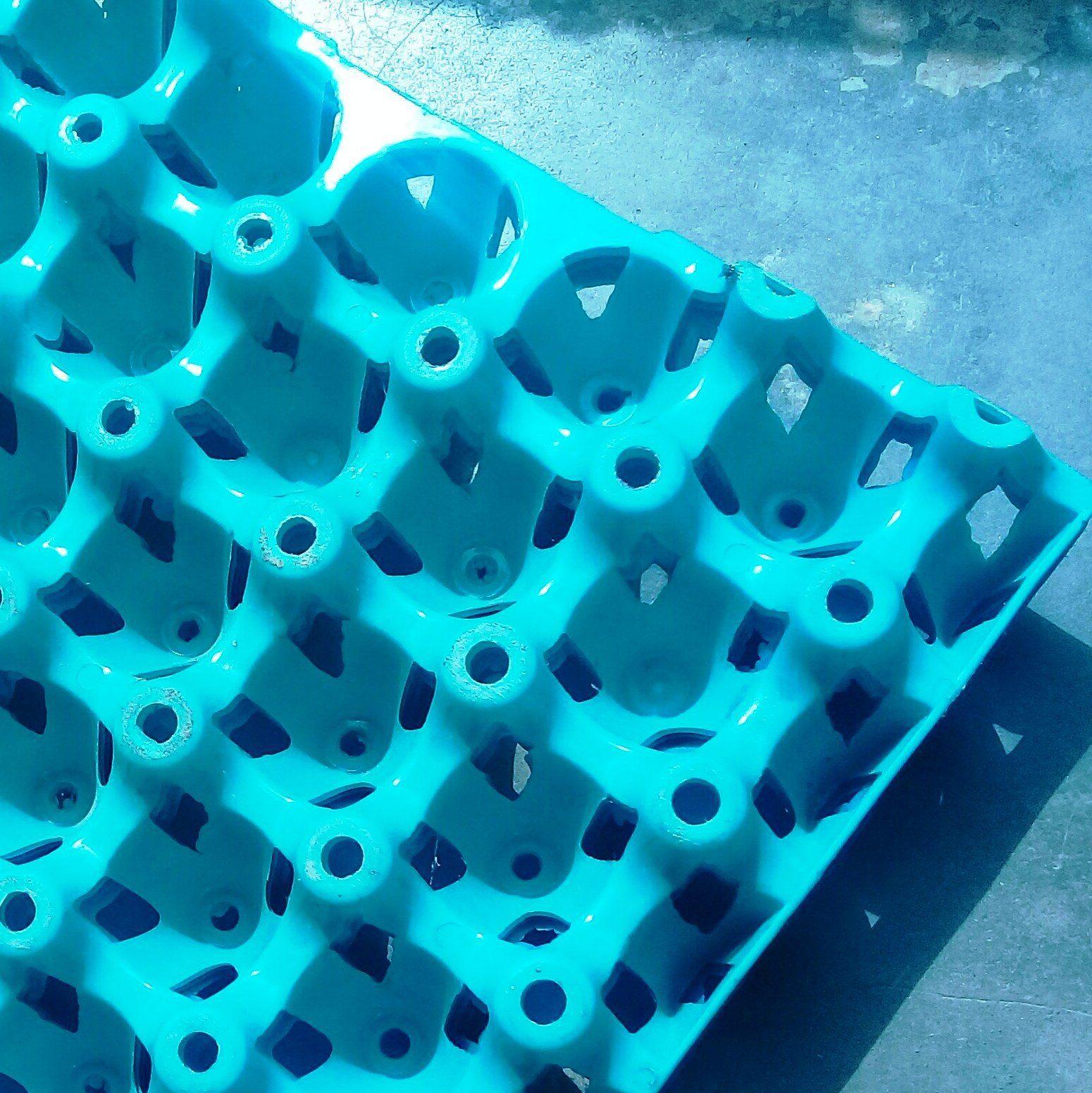 Plastic Egg Crate - Bundle of 24 Pieces