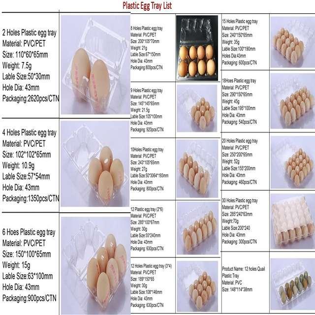 Transparent Egg Crate (Per Carton) - 24 Dimpled Egg Tray