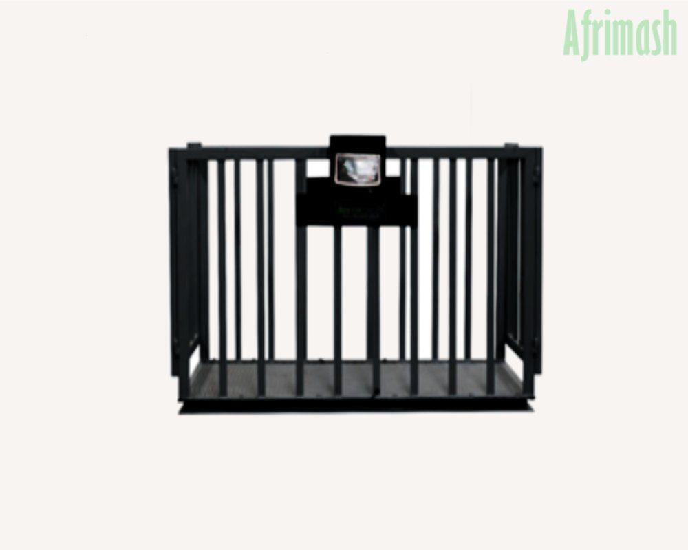 Cattle Weighing Scale with Chute and Indicator (3000kg Capacity )