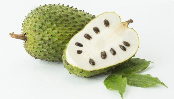 Sour-sop Seedlings