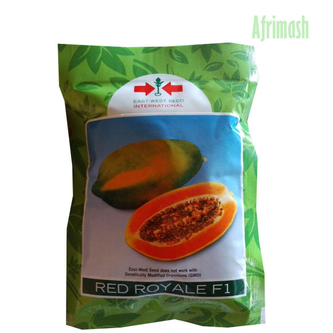 Red Royale F1 Dwarf Pawpaw Seeds |100 Seeds