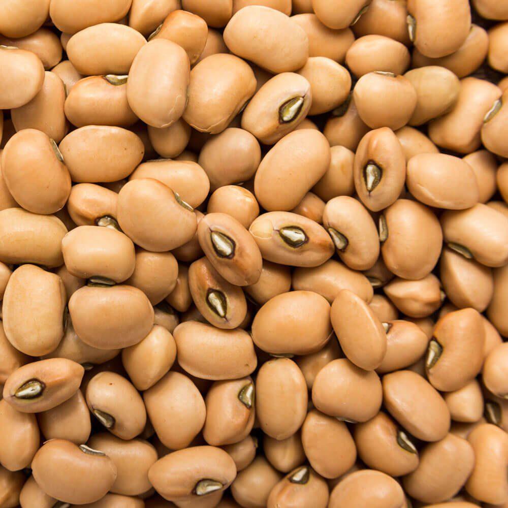 Cowpea Seeds (Black-Eyed Peas | Premium Varieties)