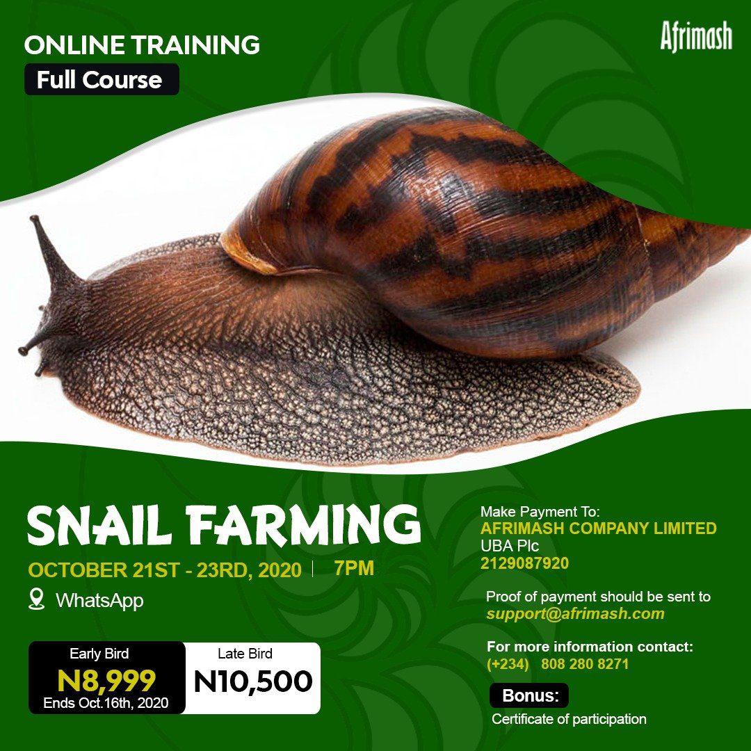 Full Online Training on Snail Farming