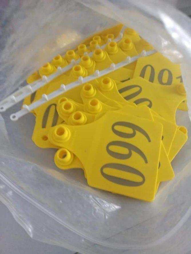 Livestock Ear Tag (For Cattle, Pigs, Goats & Rabbit) - Identification Tool - LRS Brand - Cow Ear Tags