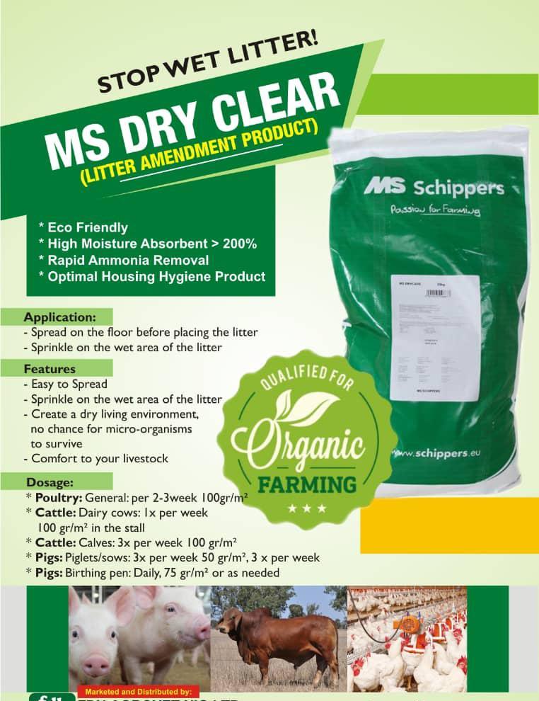 MS Dry Clear | 25 kg |10 kg | 1kg (Drying Powder)