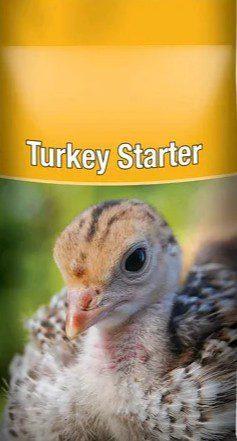 Turkey Starter Feed ( 25kg Bags)