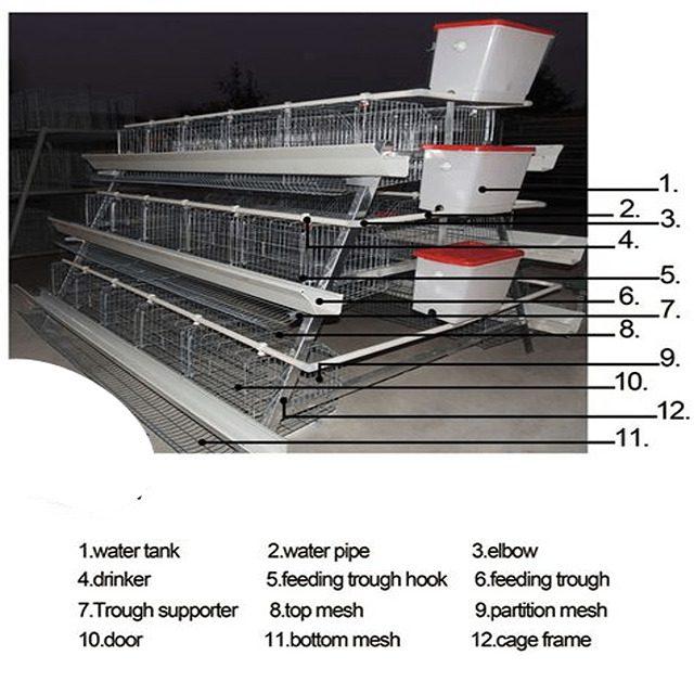 Imported Battery Cage with PVC feeder - Various Birds Capacity- (Free Installation above 10unit) - 128 birds
