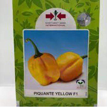 PIQUANTE YELLOW PEPPER F1 SEED