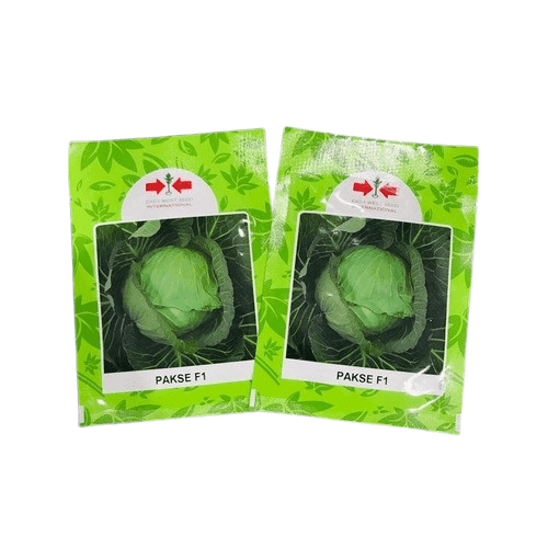 Pakse F1 Cabbage Seed (500 Seeds)