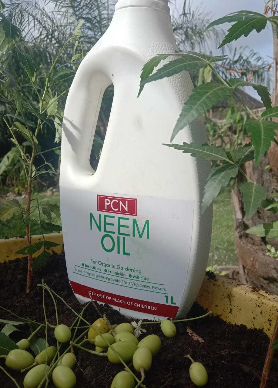 Crop Product Offering: Supergene Sprouted Seeds Promo Pack(Pack of 500) + 5 Nursery Bags + Neem Oil(1L)