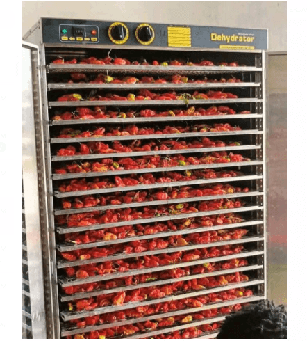 Stainless Steel Food Dehydrator – Multi-Tray Drying System with Auto Timer & Temperature Control | Made in China - 32 Trays