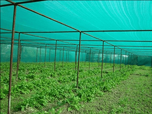 Greenhouse Shade Net – UV Stabilized Agricultural Shade Net for Crop Protection (400m Square)
