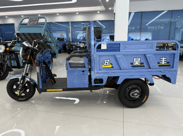 Manual Tipping Cargo Tricycle – Basic Model