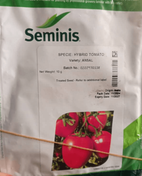 Ansal F1 Tomato Seeds | 5g |1000 Seeds | 10g