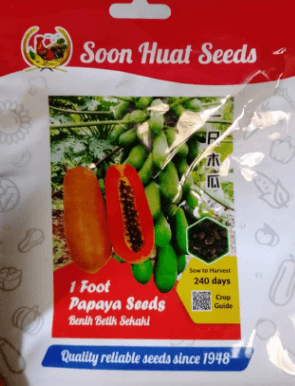 Soon Huat Papaya Seed – Premium Hybrid Papaya Variety for High Commercial Yield |100 seeds