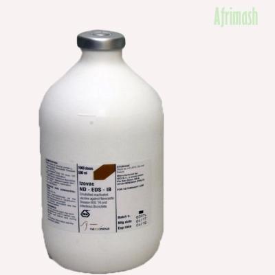 ND IB EDS (3 in 1 Vaccine | 500-Dose | 1000-Dose) + Transport Flask - 1000-Dose