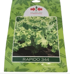 Rapido 344 Lettuce seeds | 10g |East West Seeds