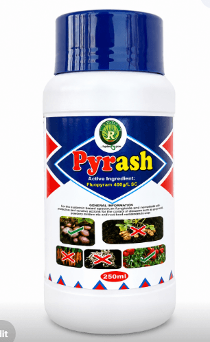 Pyrash Fungicide & Nematicide | 1L