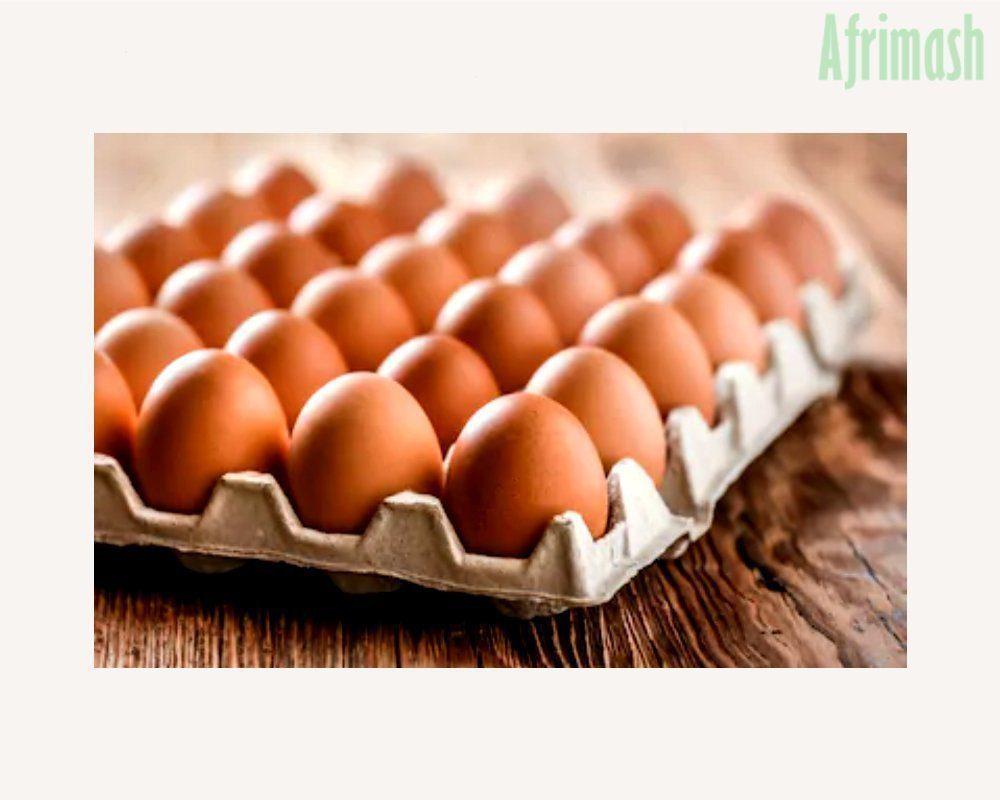 Paper Egg Crates (White | Brown | Bundle of 100 pieces)