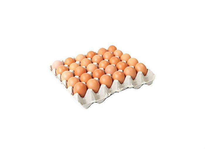 Paper Egg Crates (White | Brown | Bundle of 100 pieces)