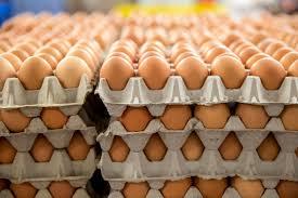Paper Egg Crates (White | Brown | Bundle of 100 pieces)