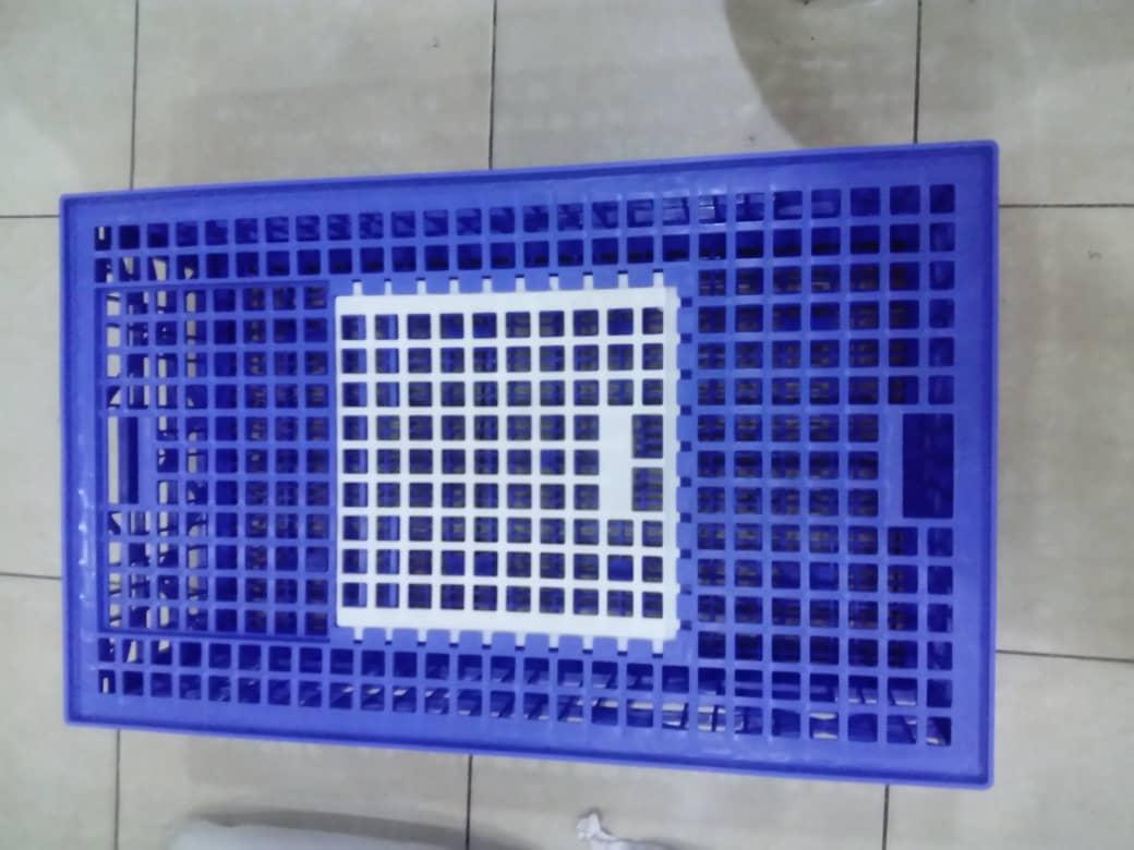 Plastic Transport Crate for Live Poultry with Access Door