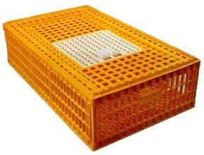 Plastic Transport Crate for Live Poultry with Access Door