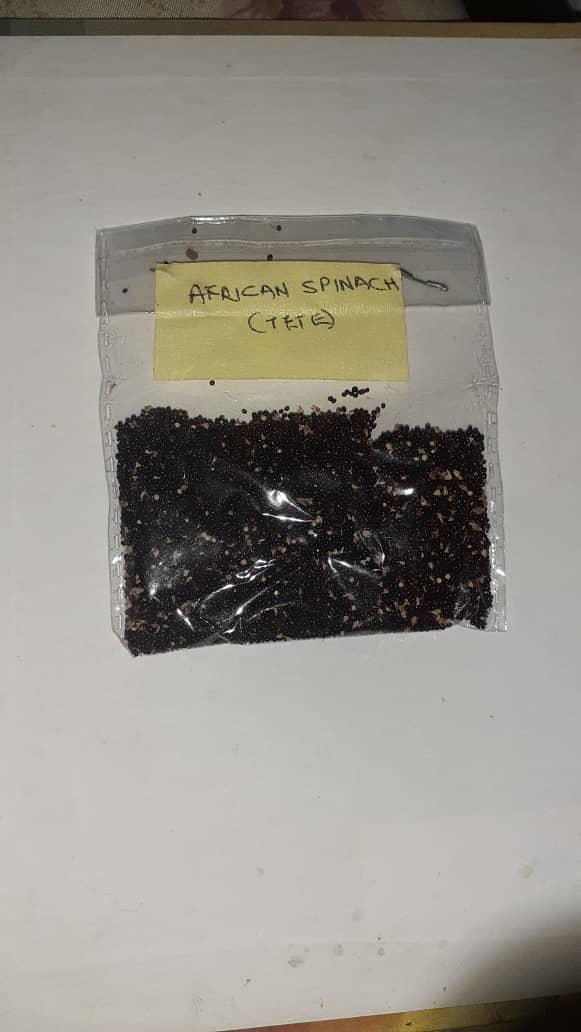 Amaranthus Seeds (Green Tete Vegetable)