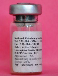 CBPP Vaccine (100 Doses Per Vial)