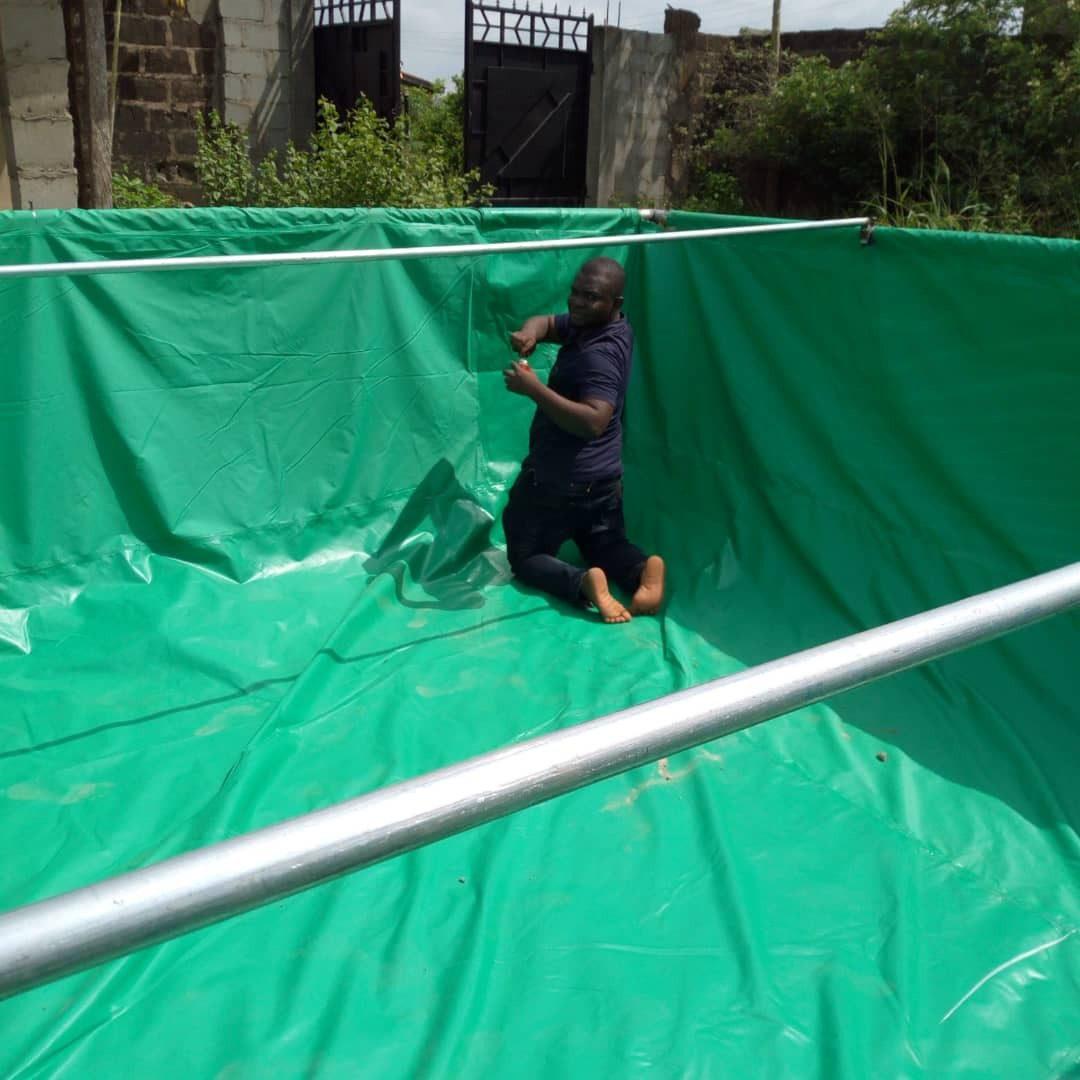 Offer: Tarpaulins - 20ft x 20ft x 4ft  + Free 1000 pieces of fingerlings