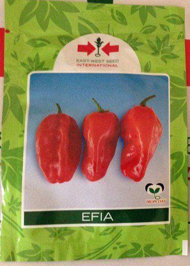Efia F1 Hot Pepper Seeds (1000 Seeds)