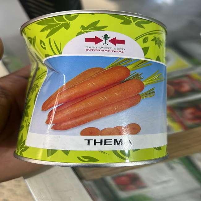 Thema Carrot Seeds (East West Seed Brand ) | 50g