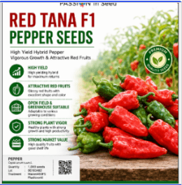 Red Tana F1 Pepper Seeds |500 Seeds