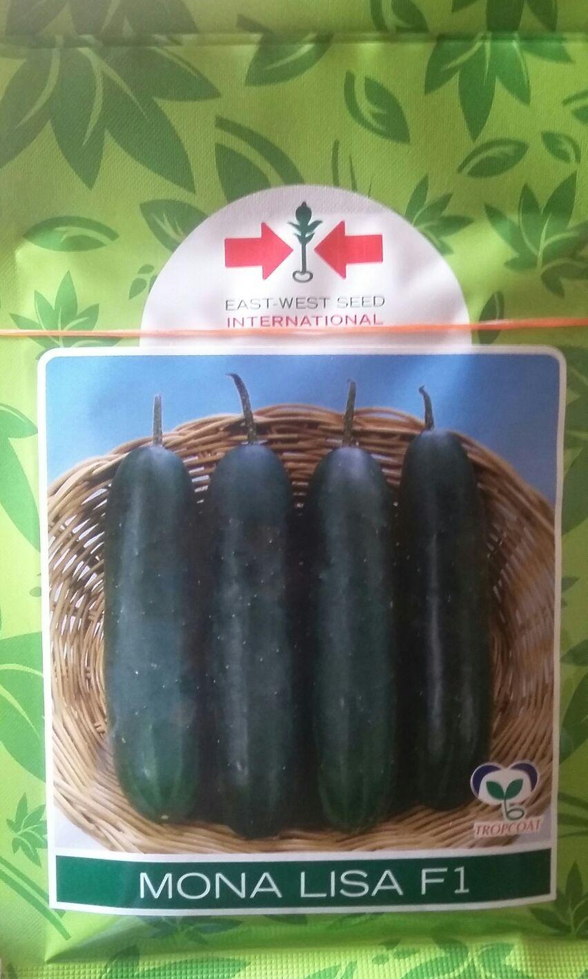 Mona Lisa F1 Cucumber Seeds (500 Seeds | 1000 Seeds)