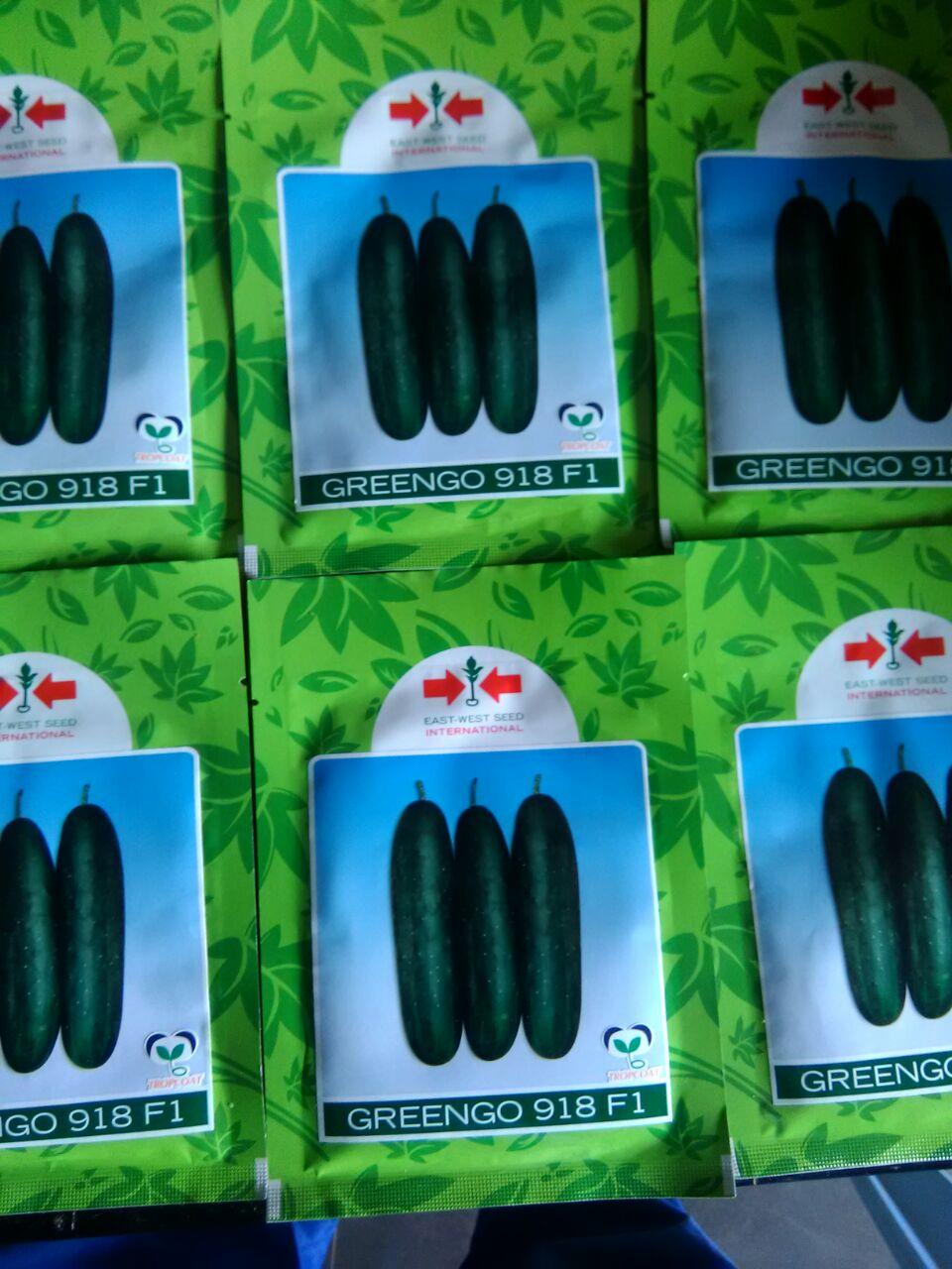 Greengo 918 F1 Cucumber Seeds (500 Seed)